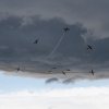 Aviation
